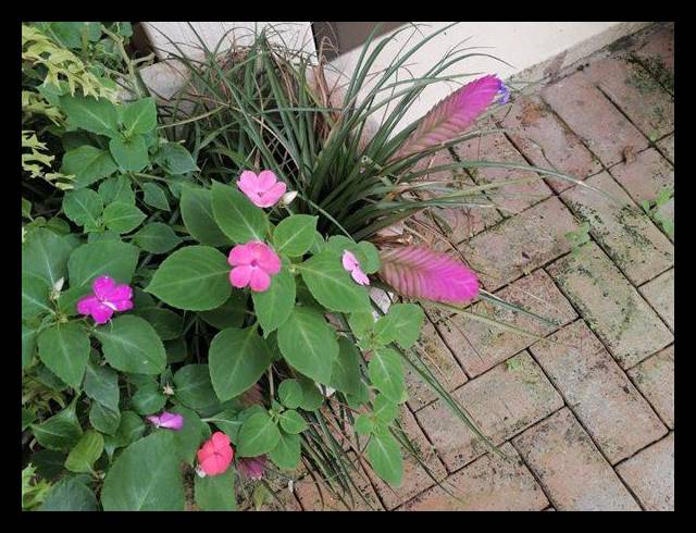 4 BEDROOM HOUSE FOR SALE IN MEER EN SEE